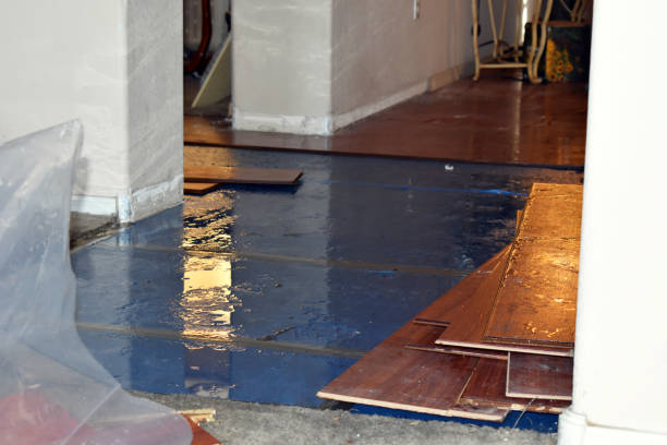 Professional Water Extraction technician working in Newtonsville, OH